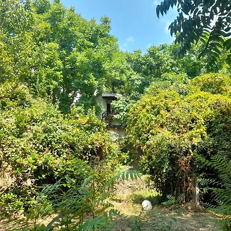 Mountain And Sea View *