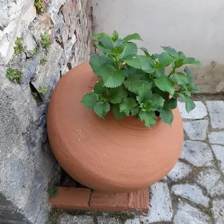 Mountain And Sea View
