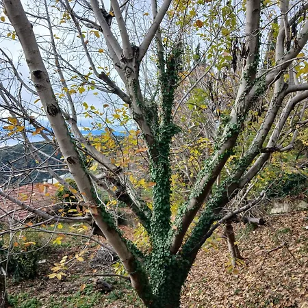 Mountain And Sea View Сasa de vacaciones *