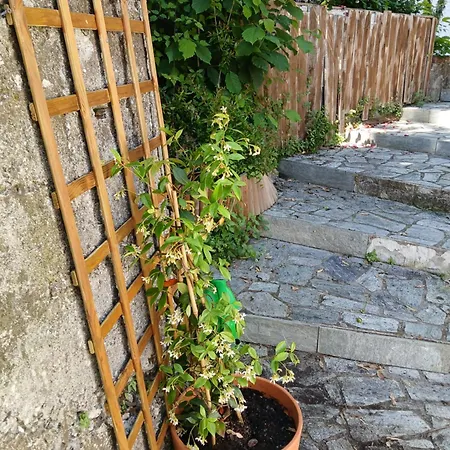 Mountain And Sea View *