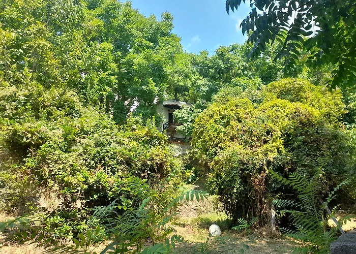 Mountain And Sea View *