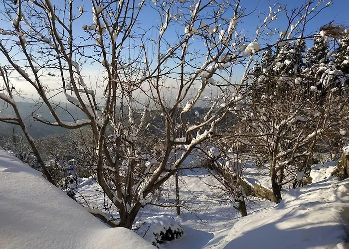 Case de vacanță Mountain And Sea View
