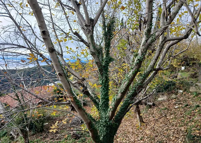 Mountain And Sea View Case de vacanță *